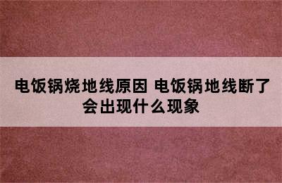 电饭锅烧地线原因 电饭锅地线断了会出现什么现象